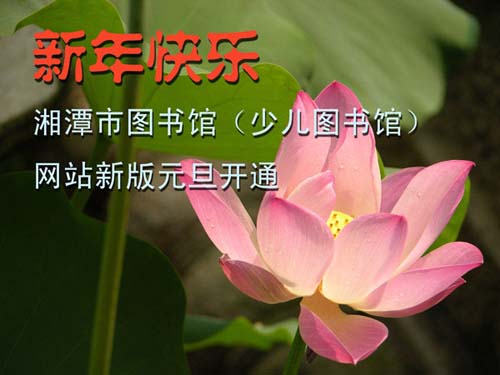 2013013142511949 2013013142511949.jpg?v=1764811147120