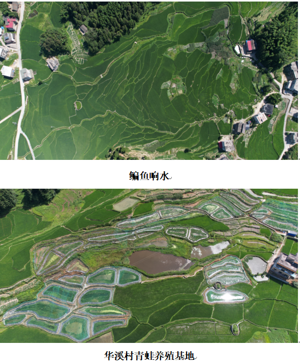 1732350491224 1732350491224.png