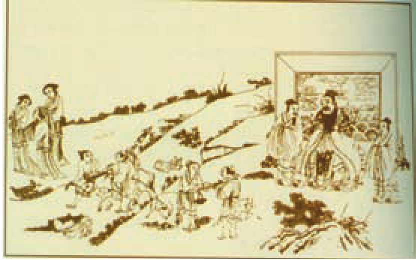 img455