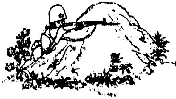 img24