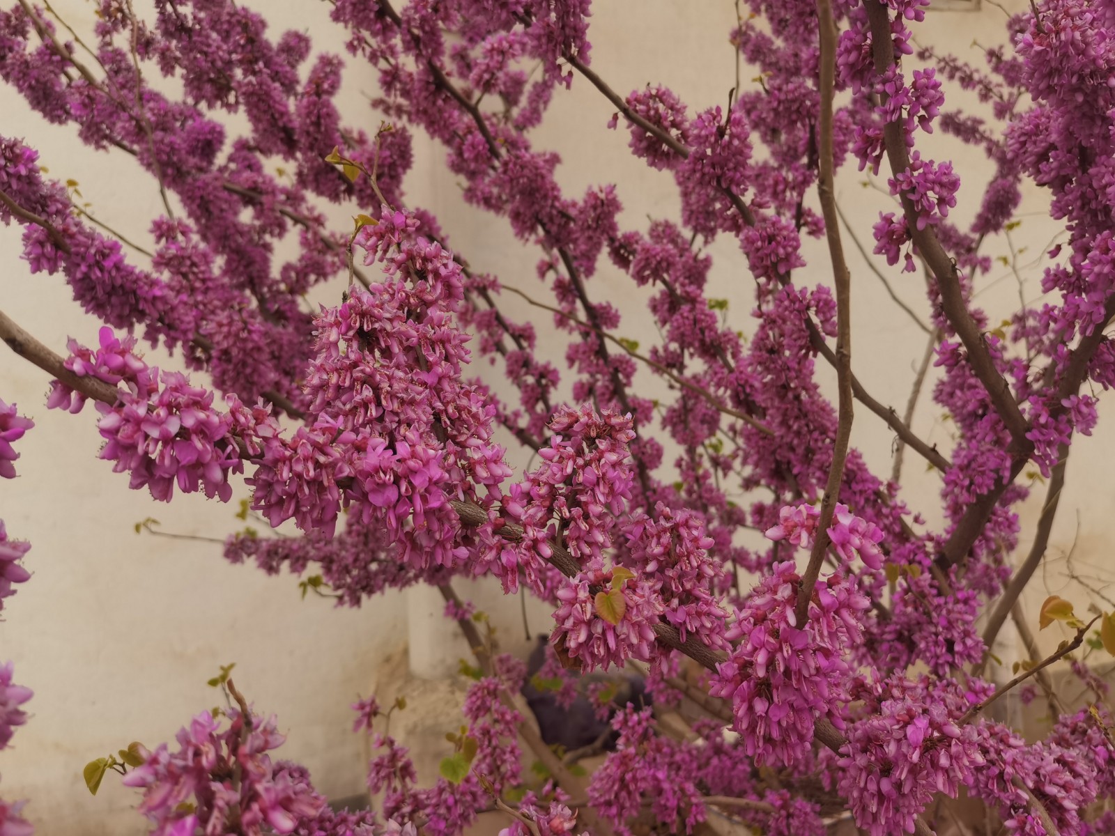 微信图片_202203310851028