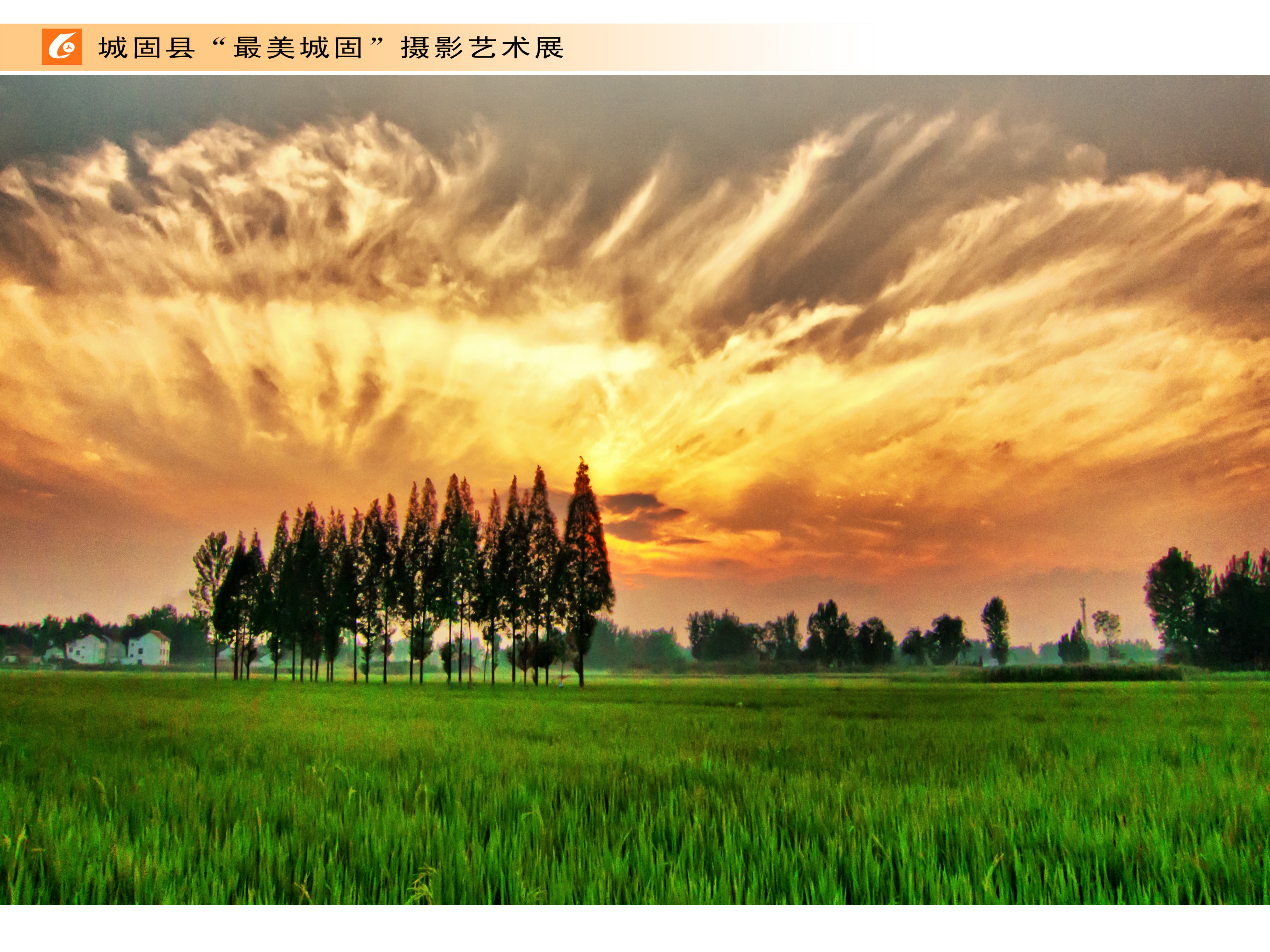城固《田园 》 胡风林摄.jpg?v=1746354093829