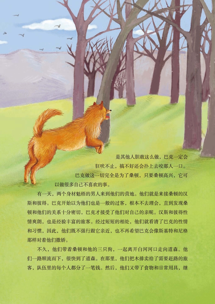 pagenumber_ebook=100,pagenumber_book=95