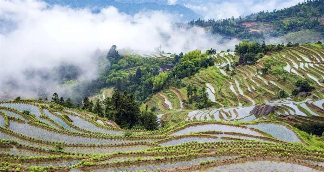 微信图片_20200506140756