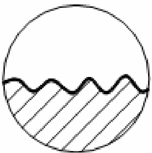 img254