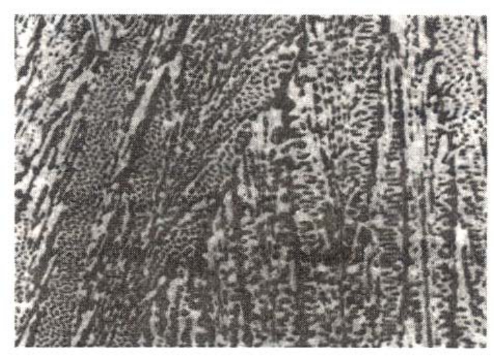 img20