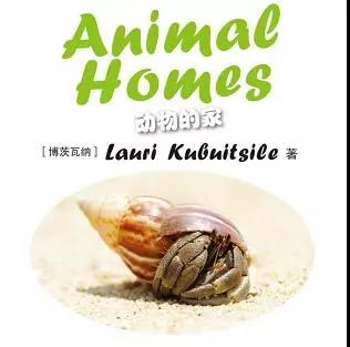 1英文绘本分享活动