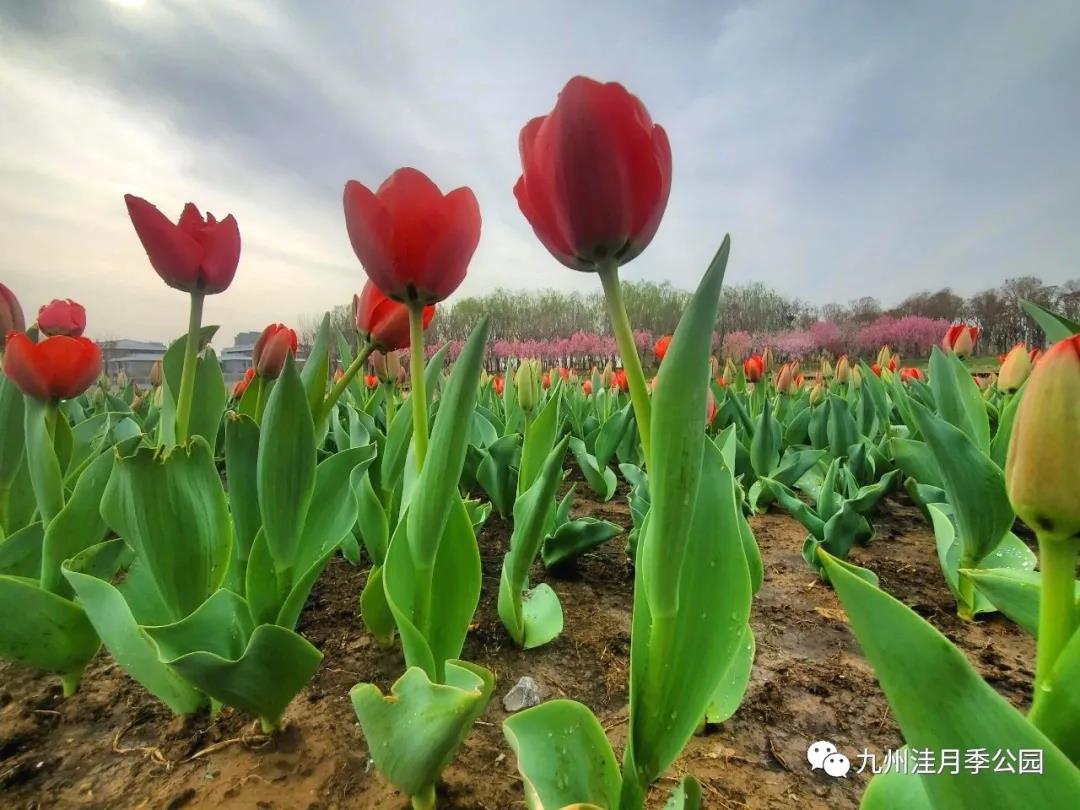 微信图片_20210329153124 微信图片_20210329153124.jpg