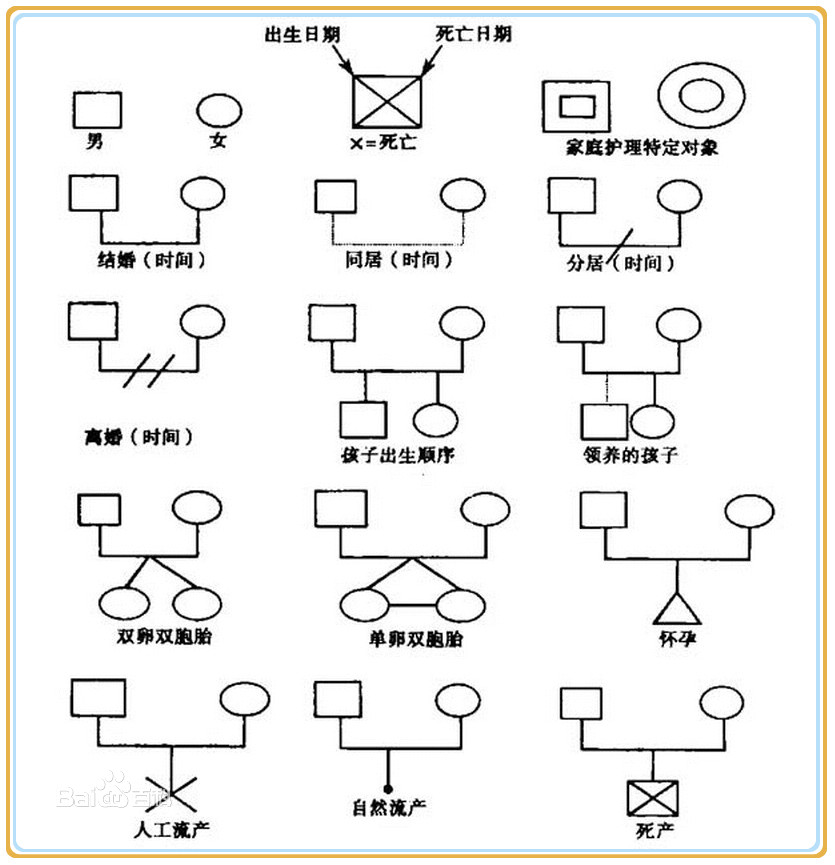 家庭成员健康资料 家系图: 是以符号的形式对家庭结构,成员间关系
