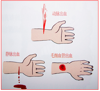 全屏显示课程章节