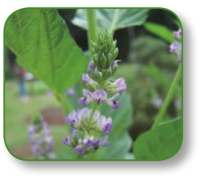 pagenumber_ebook=264,pagenumber_book=251