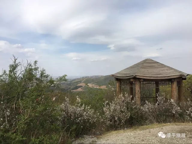 640.webp (3) 640.webp (3).jpg