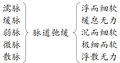 13. 实脉类