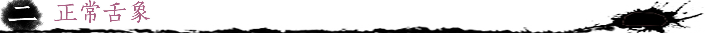 正常舌象.jpg