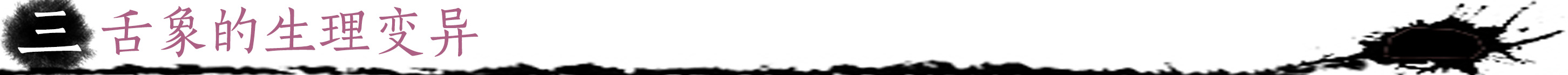 舌象的生理变异.jpg