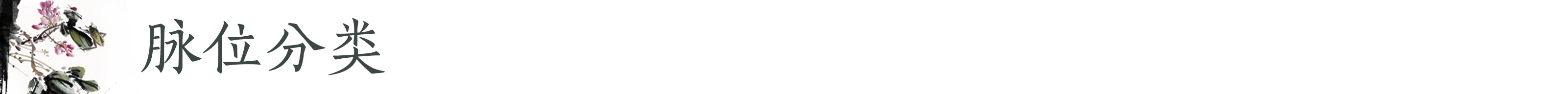 脉位分类.jpg