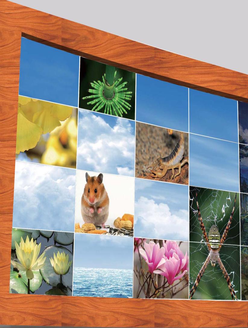 pagenumber_ebook=29,pagenumber_book=18