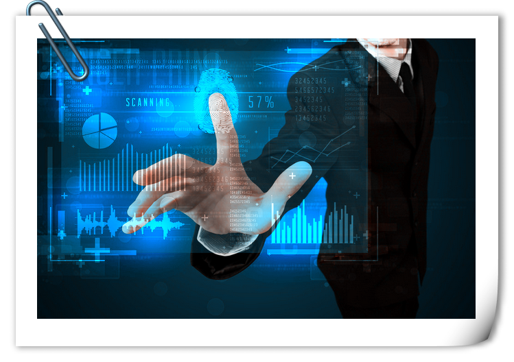 税费的计算与申报