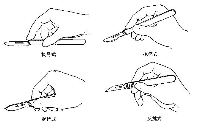 全屏显示课程章节