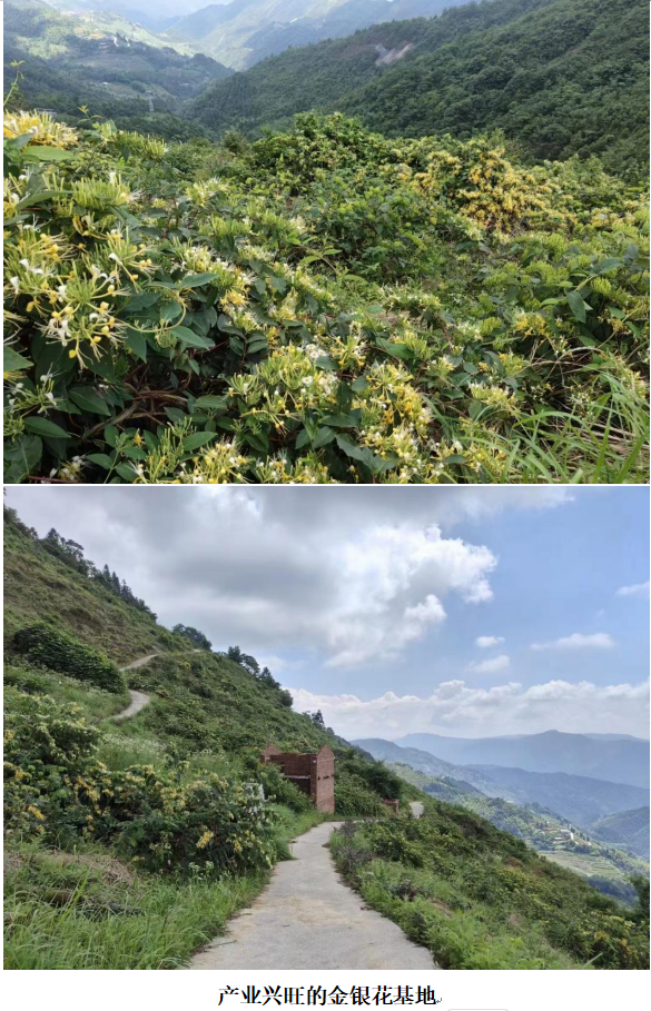 1732261194563 1732261194563.png