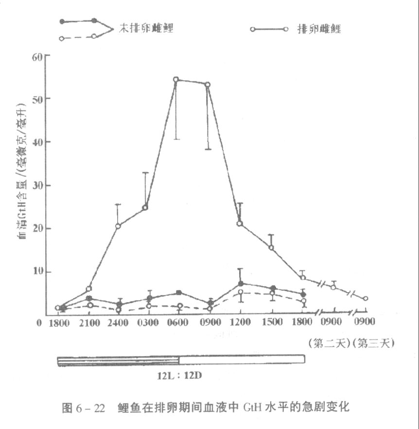 鲤鱼在排卵期间血液中GTH水平的急剧变化.jpg