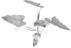 pagenumber_ebook=276,pagenumber_book=276