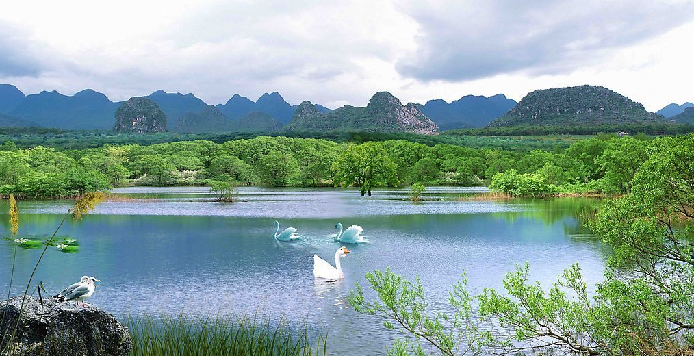 全屏显示课程章节