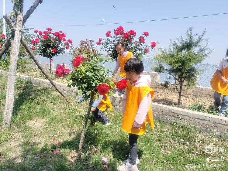 6141a7edc7152eb5dc17f72933487452