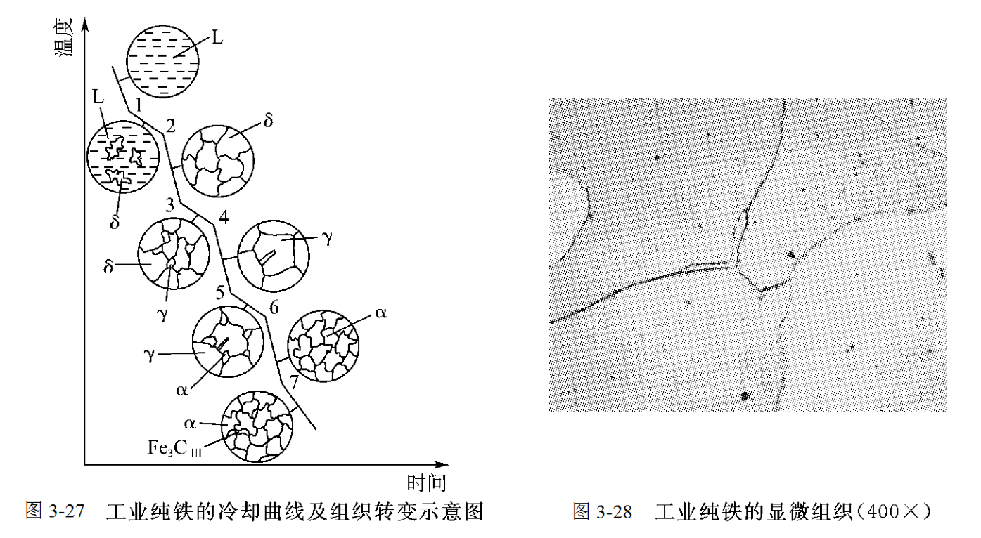 图3-27为工业纯铁的冷却曲线及组织转变示意图.