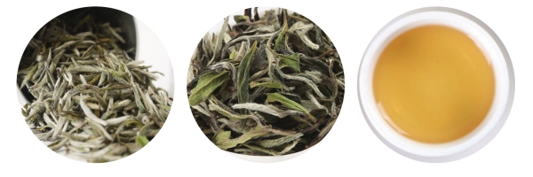 pagenumber_ebook=55,pagenumber_book=56