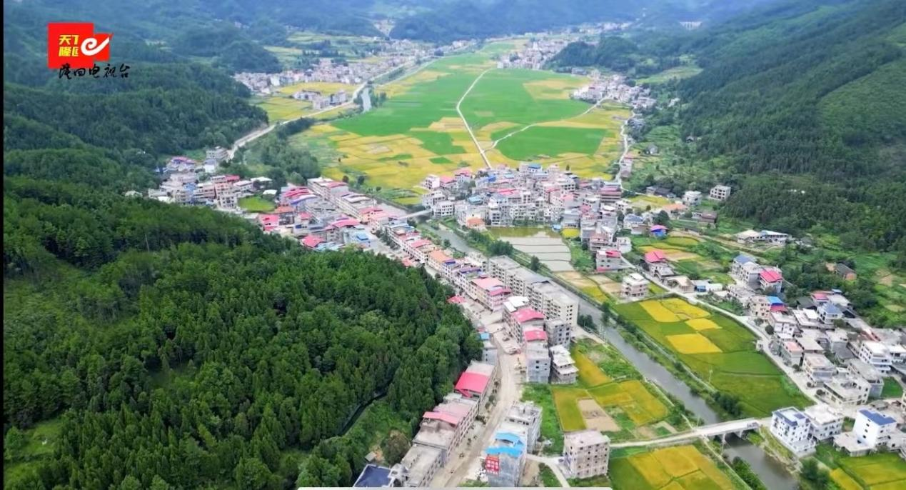 图片37 图片37.png