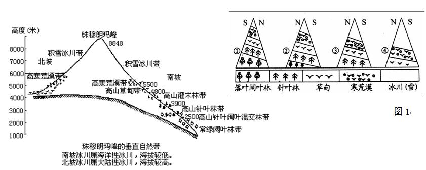 课前预习: 1. 形成垂直地带性的原因:2. 垂直地带性的具体体现