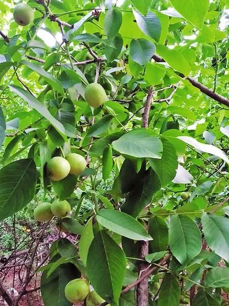 微信图片_20230315153602