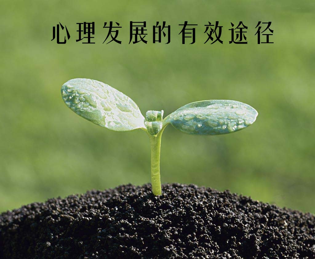全屏显示课程章节