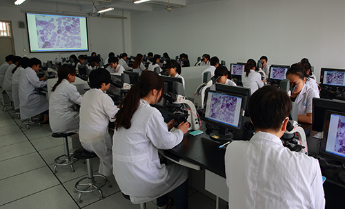 显微互动实训室-修传.jpg
