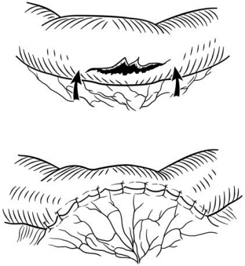 pagenumber_ebook=568,pagenumber_book=553