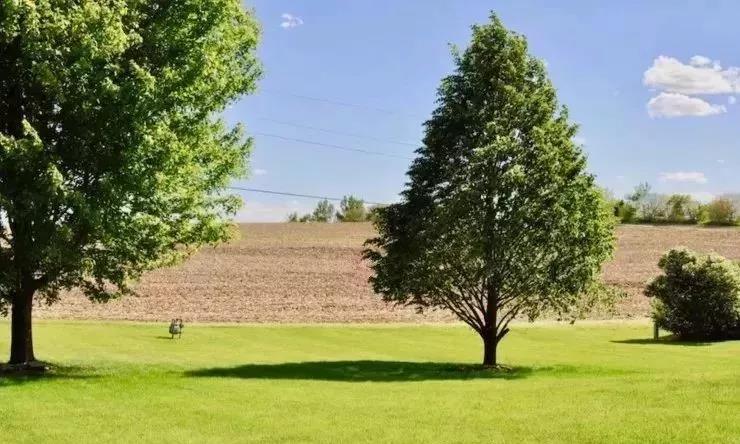 微信图片_20201224103747