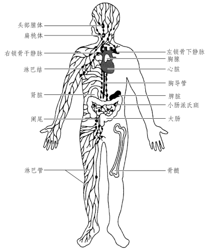 pagenumber_ebook=121,pagenumber_book=114