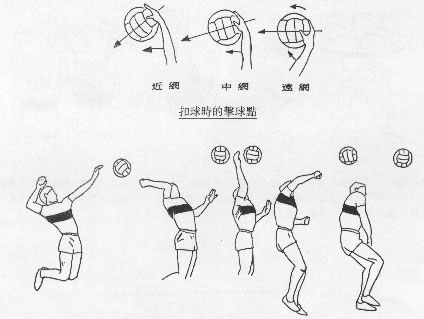 左图国家排球运动员,右图穿校服小学生,如果让