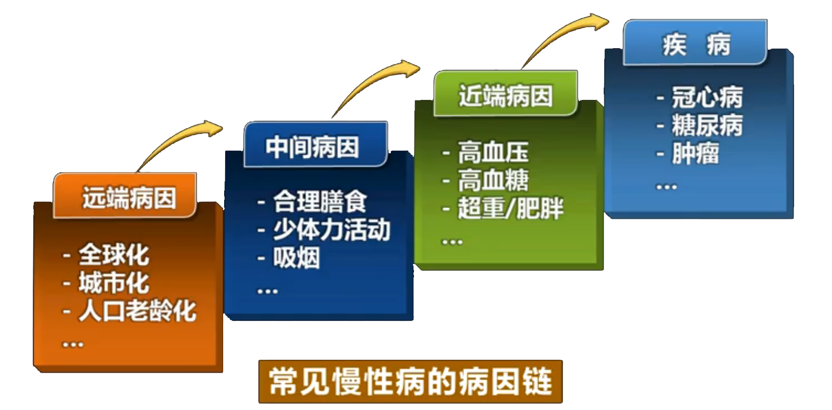 多因素病因结论的实际意义