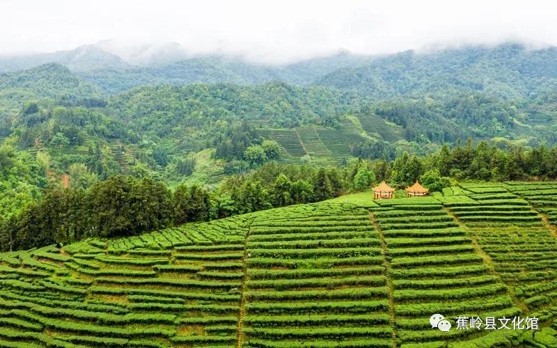 1 1.jpg?v=1765891042459