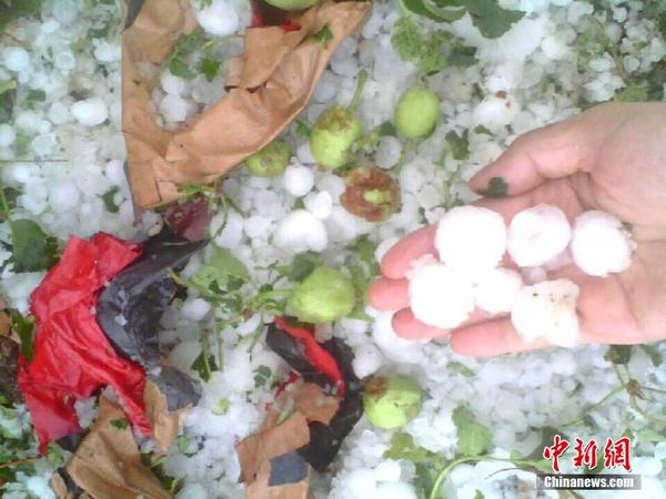 20170503163545_se6mea3gnh 20170503163545_se6mea3gnh.jpg?v=1767003321009