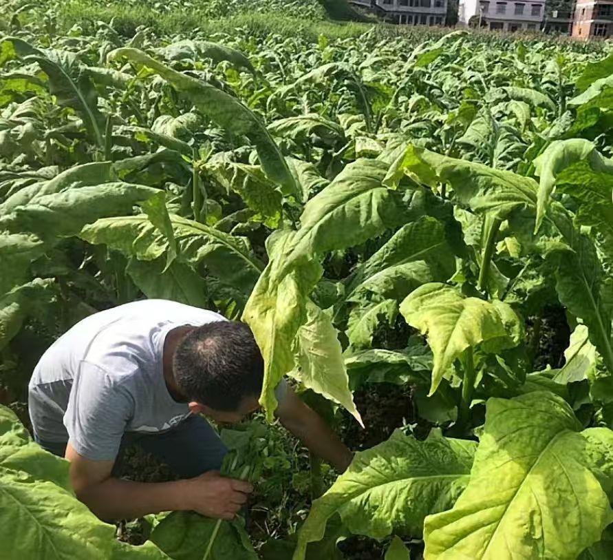 wps_doc_14 wps_doc_14.jpeg