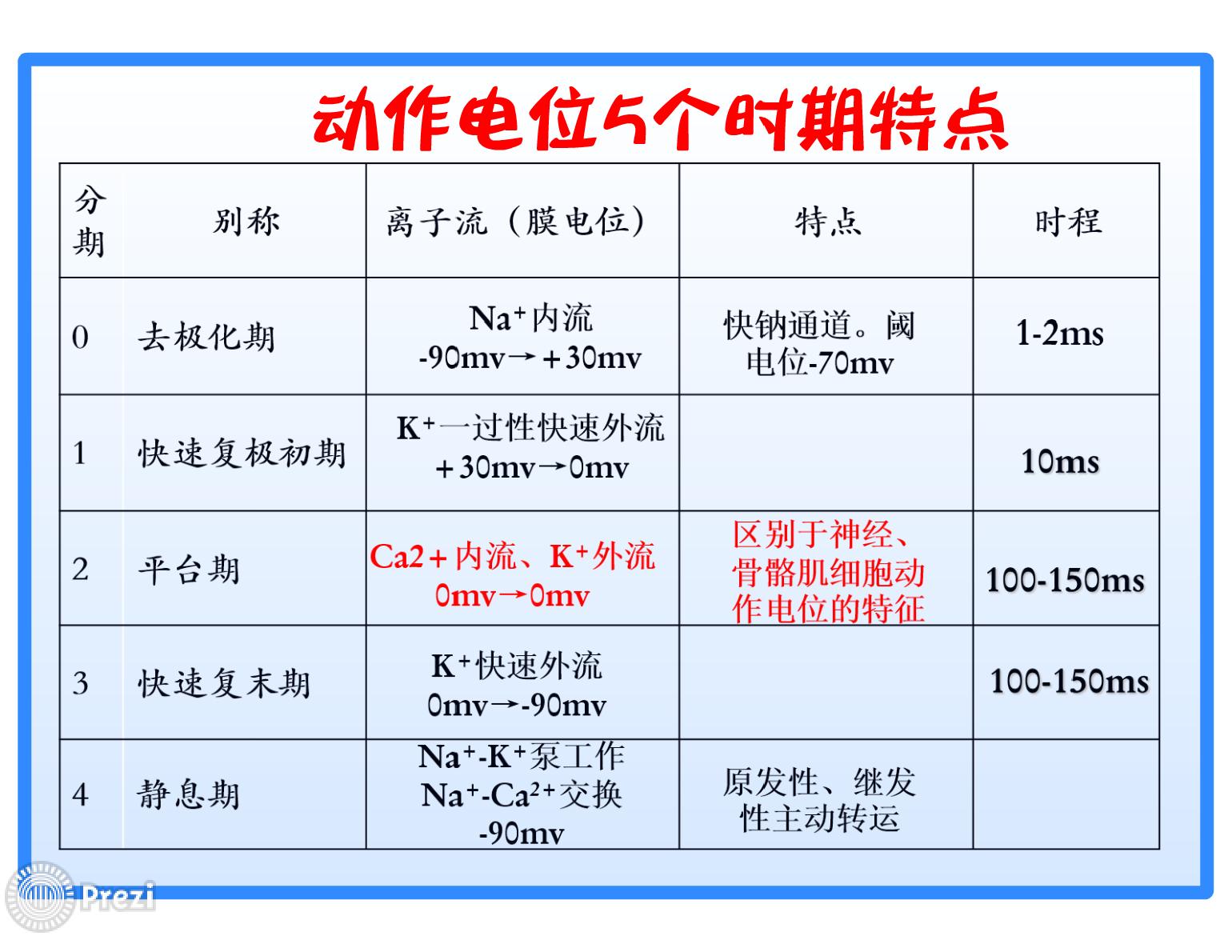 心肌细胞动作电位的产生机制