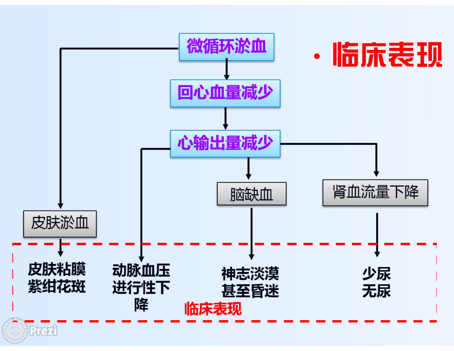 3. 微循环衰竭期(休克晚期)