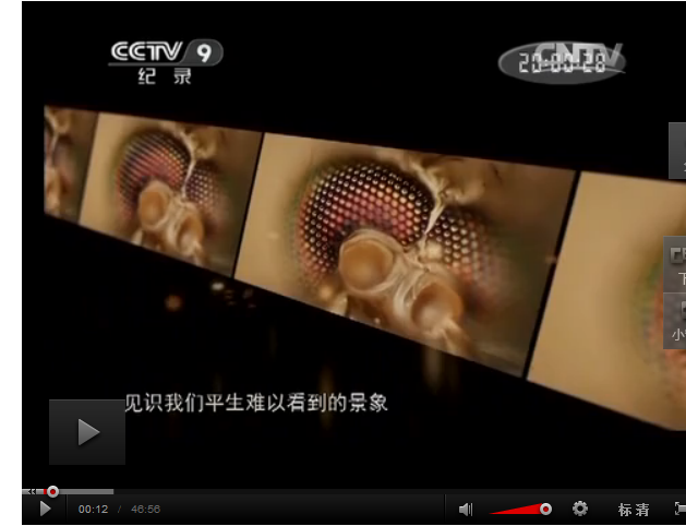 超级视觉:眼睛的骗局