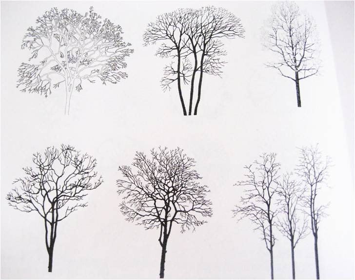 四,地被的表现技法 提出问题:乔木,灌木,花卉等6种植被的分类表现