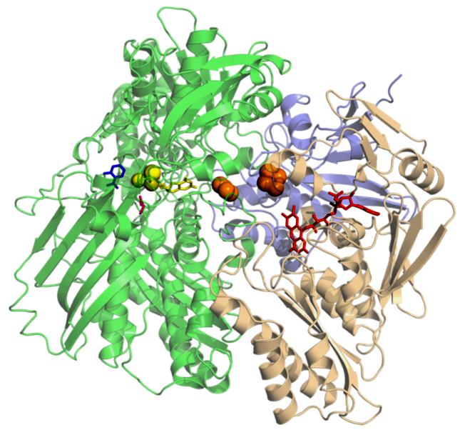 zn2 fe2 mn2 金属酶(metalloenzyme 金属结合酶