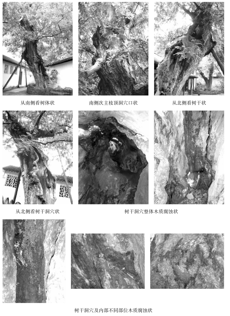 pagenumber_ebook=135,pagenumber_book=135