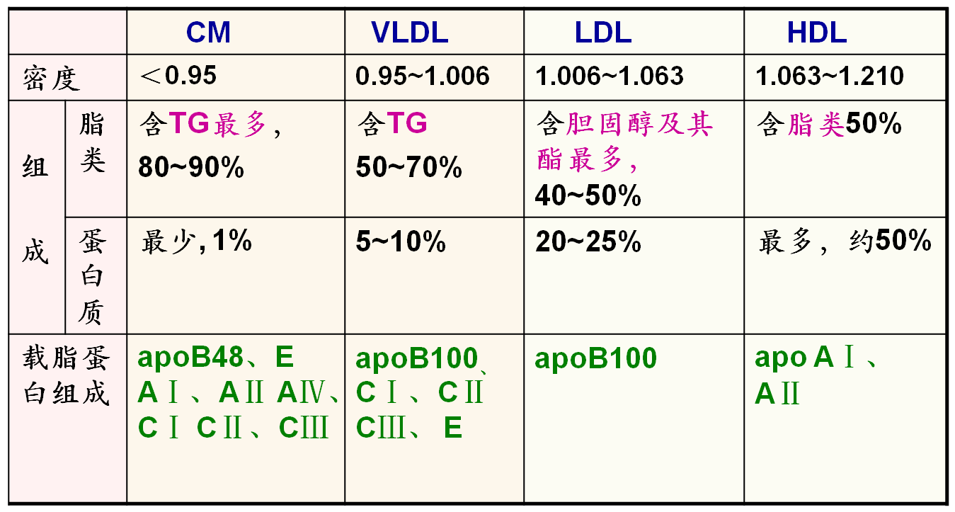 极低密度脂蛋白(前 β):vldl,very low density lipoprotein